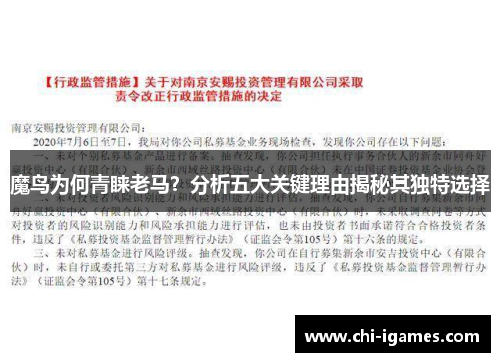 魔鸟为何青睐老马？分析五大关键理由揭秘其独特选择