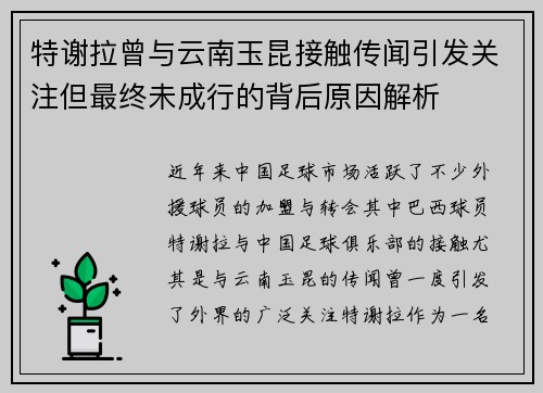 特谢拉曾与云南玉昆接触传闻引发关注但最终未成行的背后原因解析