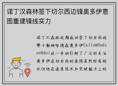 诺丁汉森林签下切尔西边锋奥多伊意图重建锋线实力 诺丁汉森林签下切尔西边锋奥多伊意图重建锋线实力